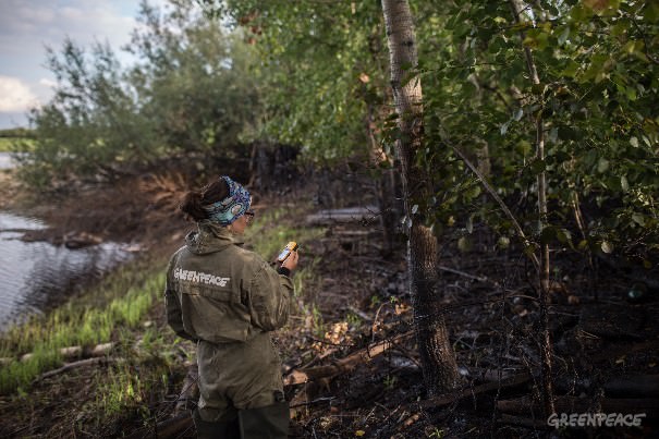 Фото организации "Greenpeace", Денис Синяков.